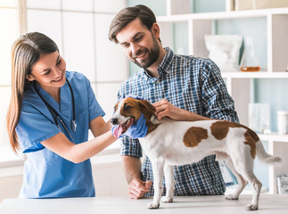 Animal Medical Services: Ensuring the Health and Well-being of Our Beloved Companions